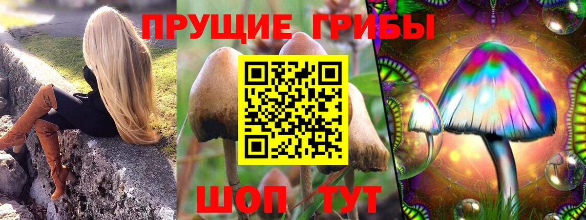 Чебаркуль  Галлюциногенные грибы MAGIC MUSHROOMS  Вход с VPN 