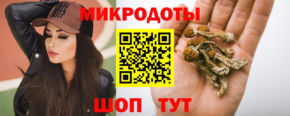 Псилоцибиновые грибы Psilocybine cubensis Чебаркуль